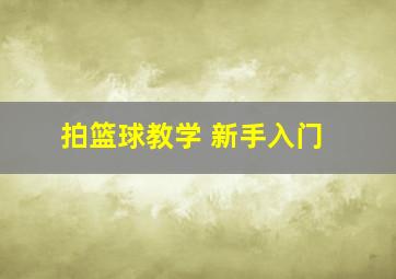 拍篮球教学 新手入门